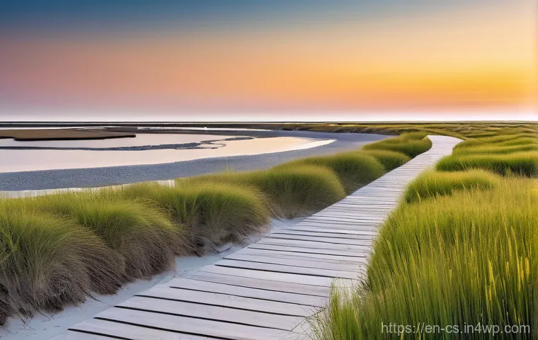 해수면 상승 대응을 위한 공공 인프라 투자 - **"Redefining Our Shorelines: Blending Green and Grey"**
    A wide, serene coastal landscape featur...