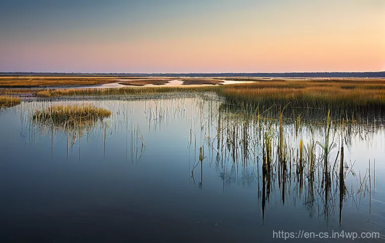 해수면 상승이 생태계에 미치는 영향 - Coastal Wetland Ghost Forest at Dawn**
"An atmospheric, wide-angle photograph capturing a coastal s...