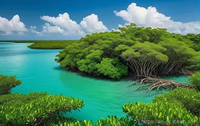 해수면 상승 대응을 위한 해양 보호 구역 설계 - **Subject:** A majestic and dense mangrove forest at the transition point between a calm, tropical o...