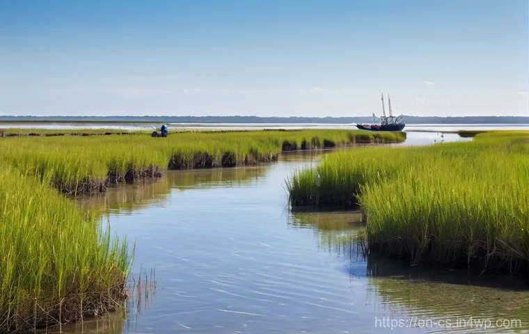 해수면 상승 대비 해안 지역 관리 체계 - **Prompt:** A serene, sun-drenched coastal scene depicting a vibrant "living shoreline." A diverse g...