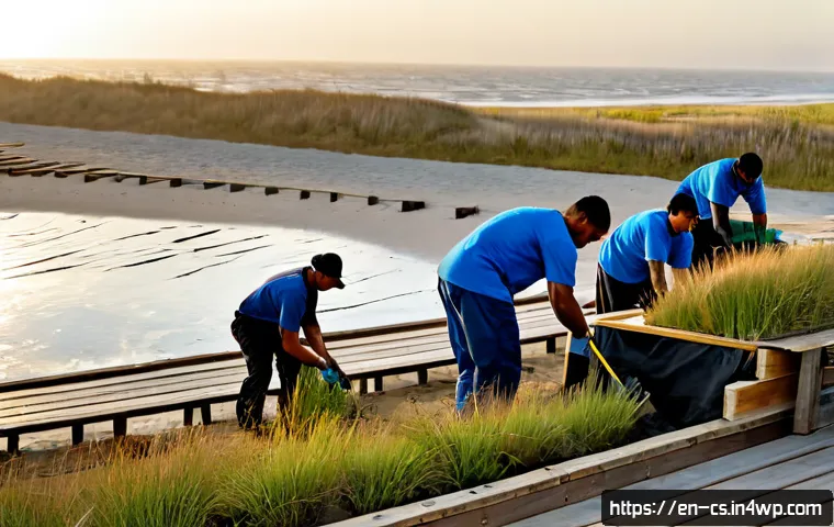 How Coastal Communities Can Plan Sea-Level Rise Projects: Options, Costs, and Selection Criteria 3 해수면 상승 대응을 위한 커뮤니티 기반 프로젝트 관련 이미지 1
